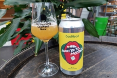 Olut-beer-jaskankaljat-coolhead-brew-4